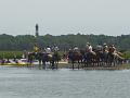 Chincoteague Pony Swim July 2007 073